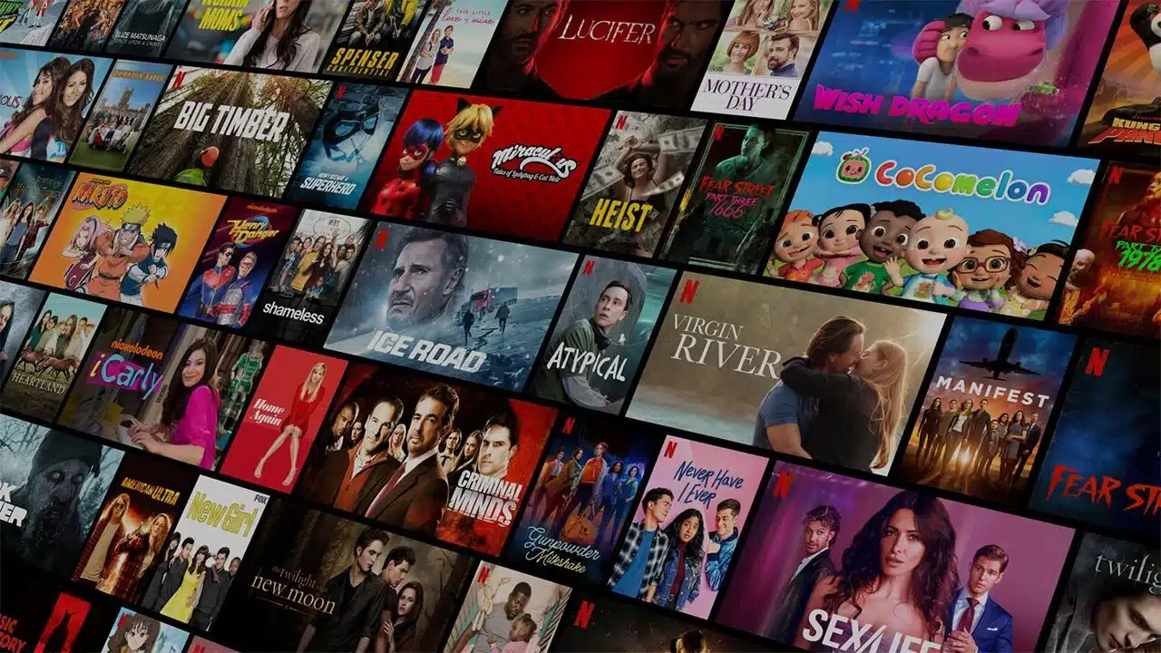IPTV Smart Net Device Portrait